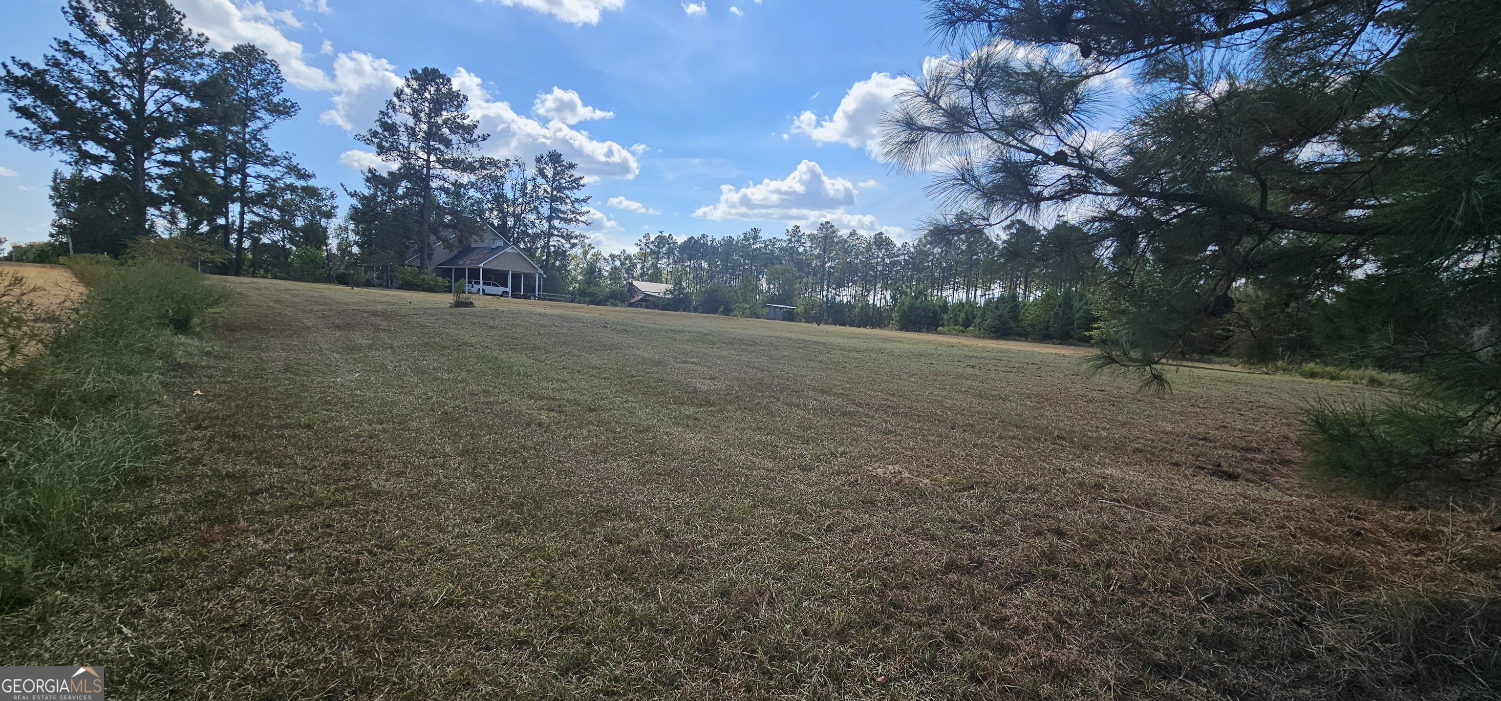 1717 Grady Saunders Road Portal GA 30450