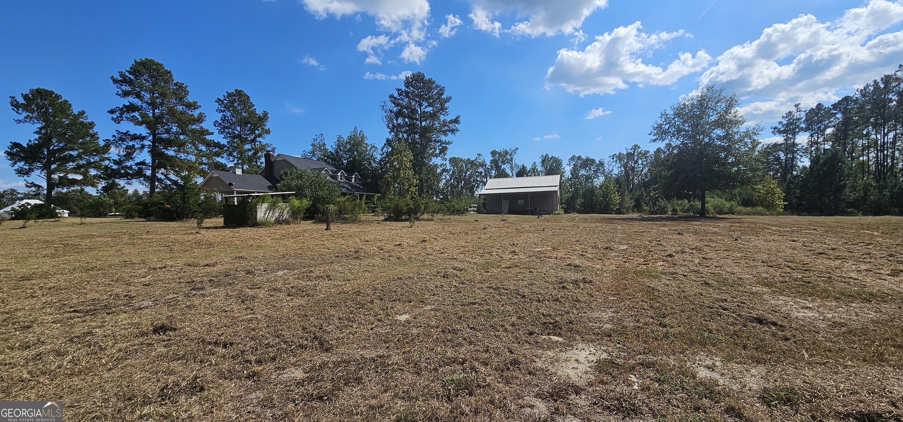 1717 Grady Saunders Road Portal GA 30450