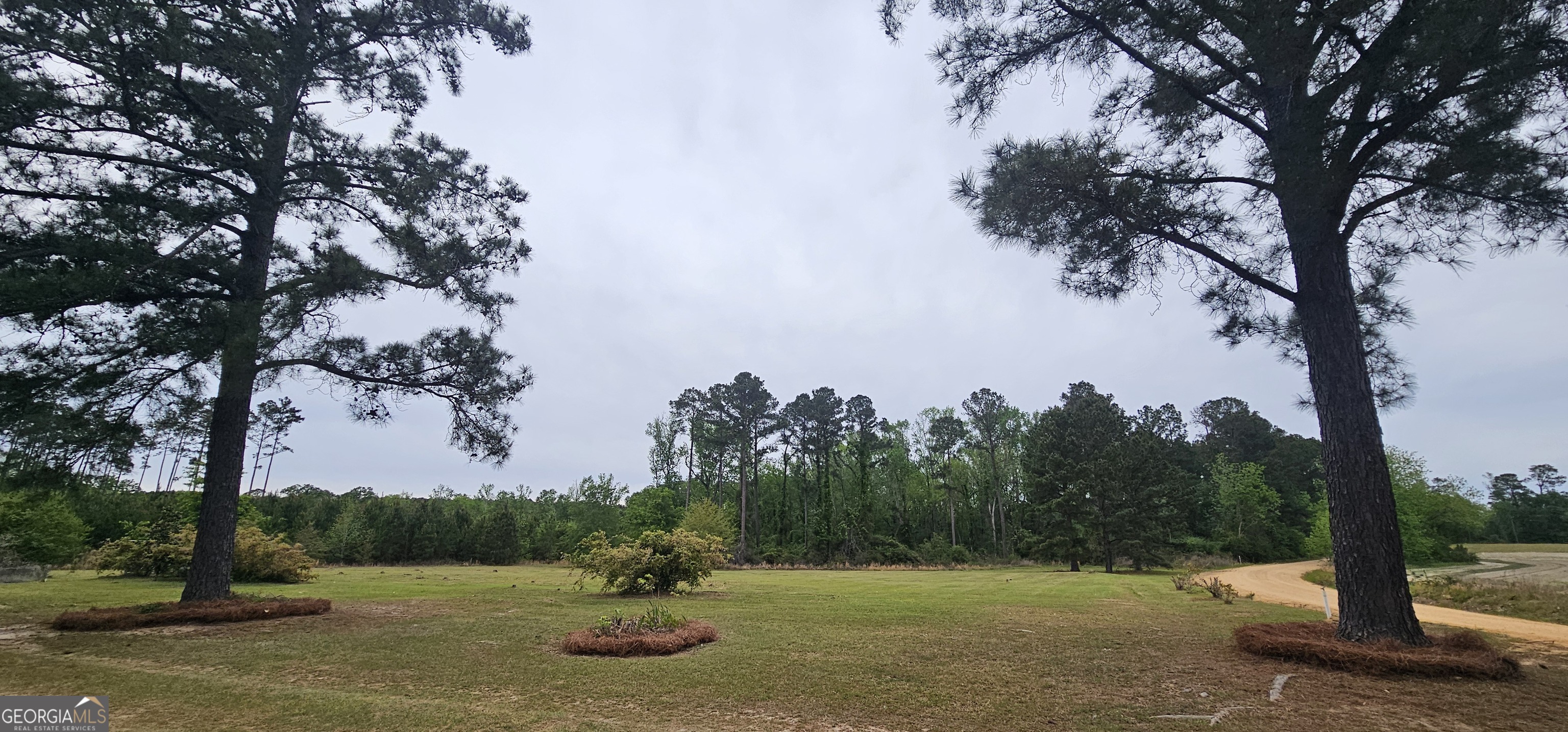 1717 Grady Saunders Road Portal GA 30450