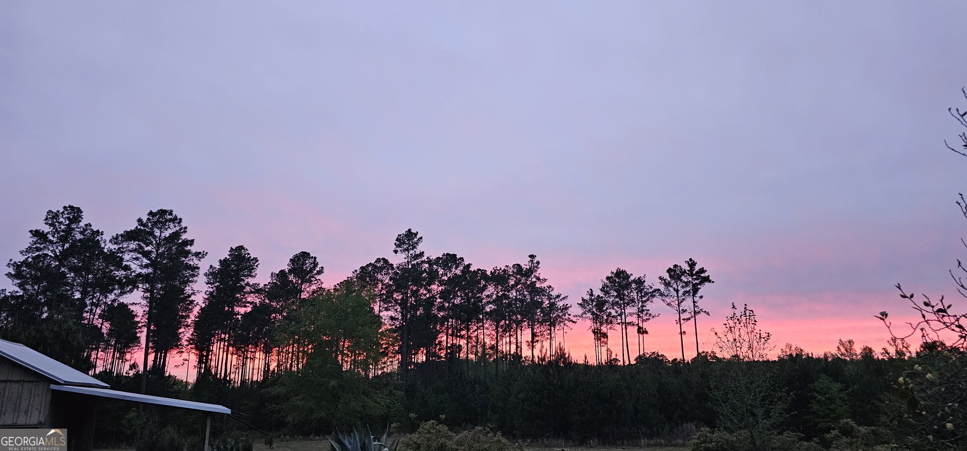 1717 Grady Saunders Road Portal GA 30450