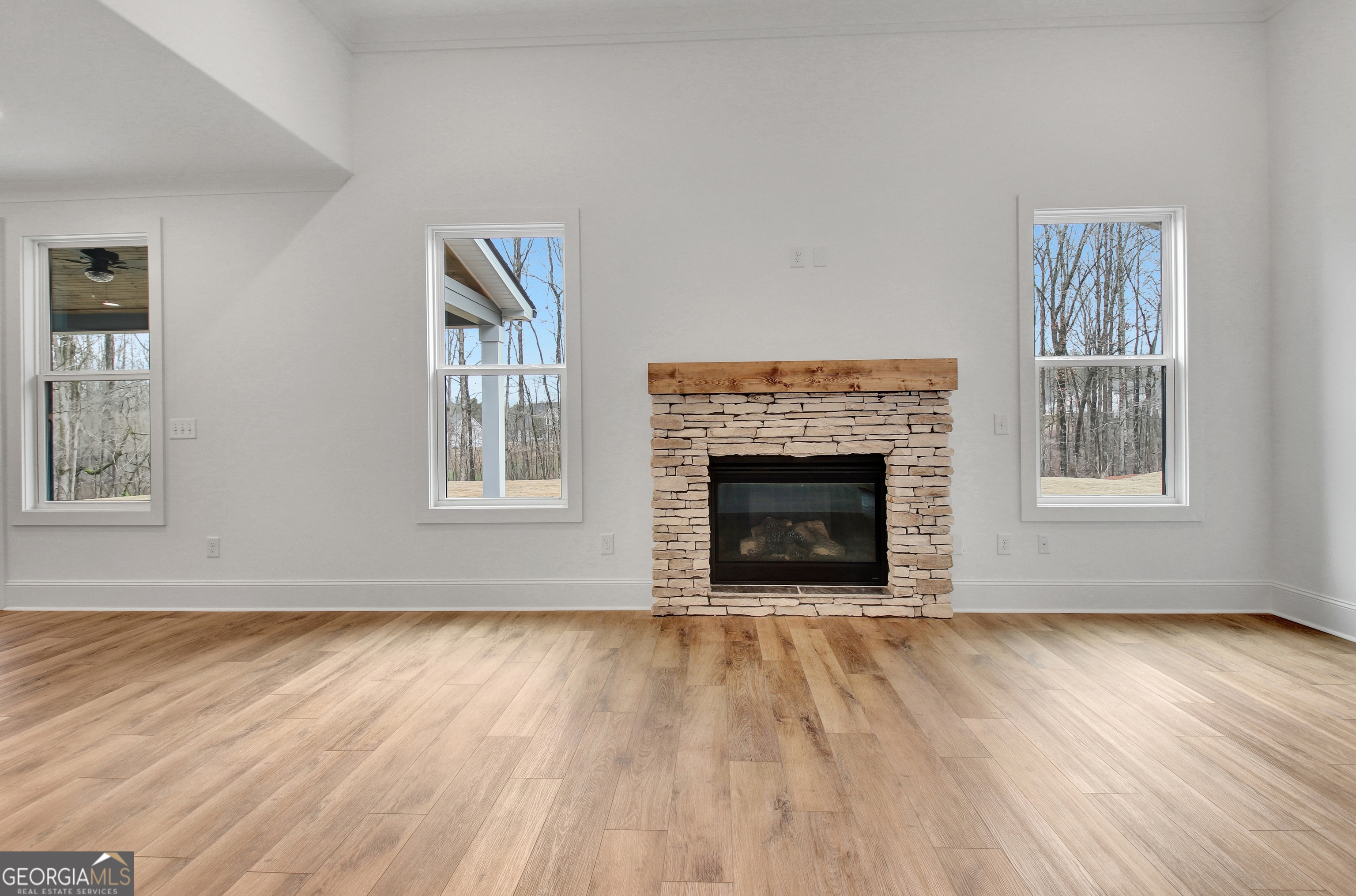 157 Ryeland Drive Senoia GA 30276