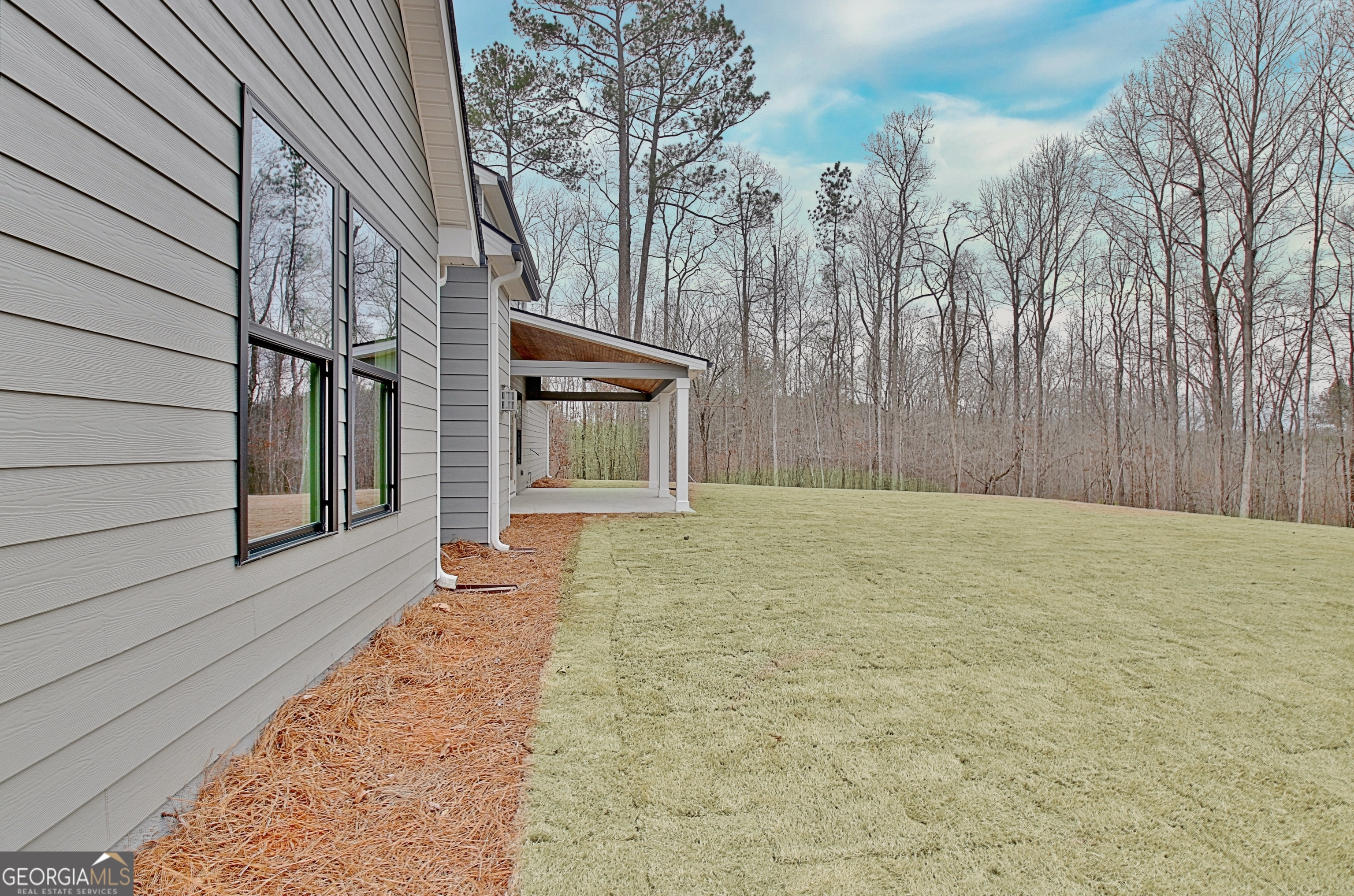 157 Ryeland Drive Senoia GA 30276