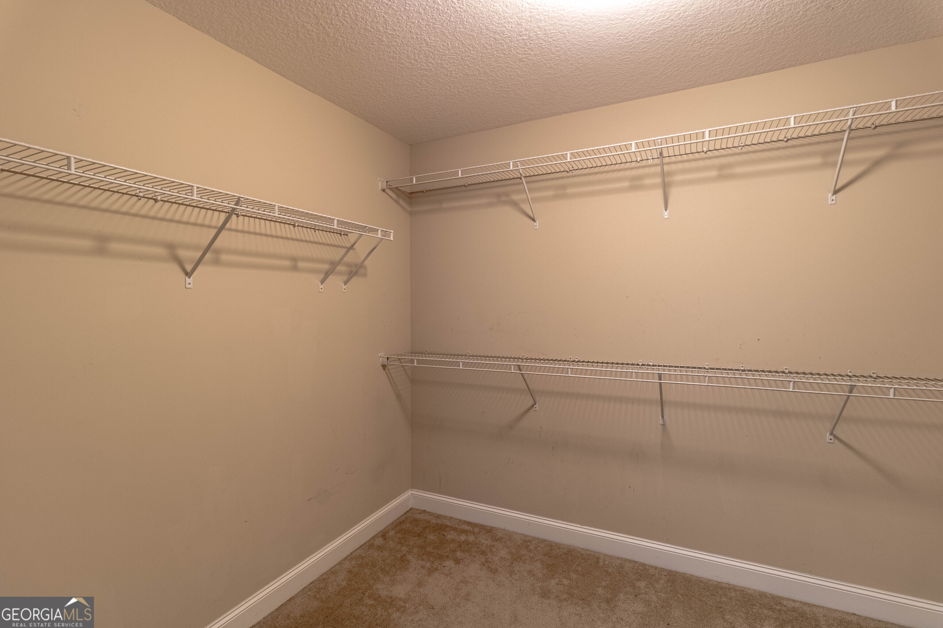 448 Mancey Garrason Loop Ludowici GA 31316