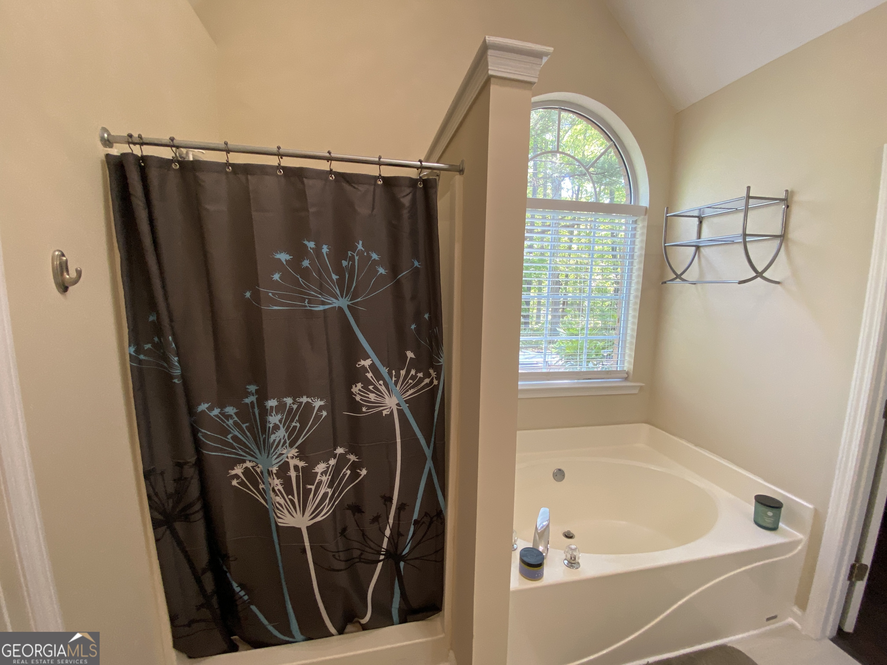 312 Cascade Court Hampton GA 30228