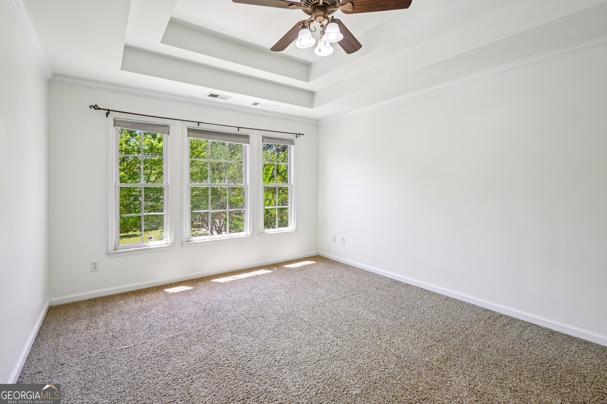 15 Briarleigh Way Newnan GA 30265