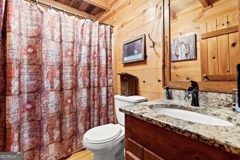 21 Mountain View Trail Cherry Log GA 30572