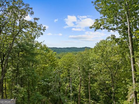 21 Mountain View Trail Cherry Log GA 30572