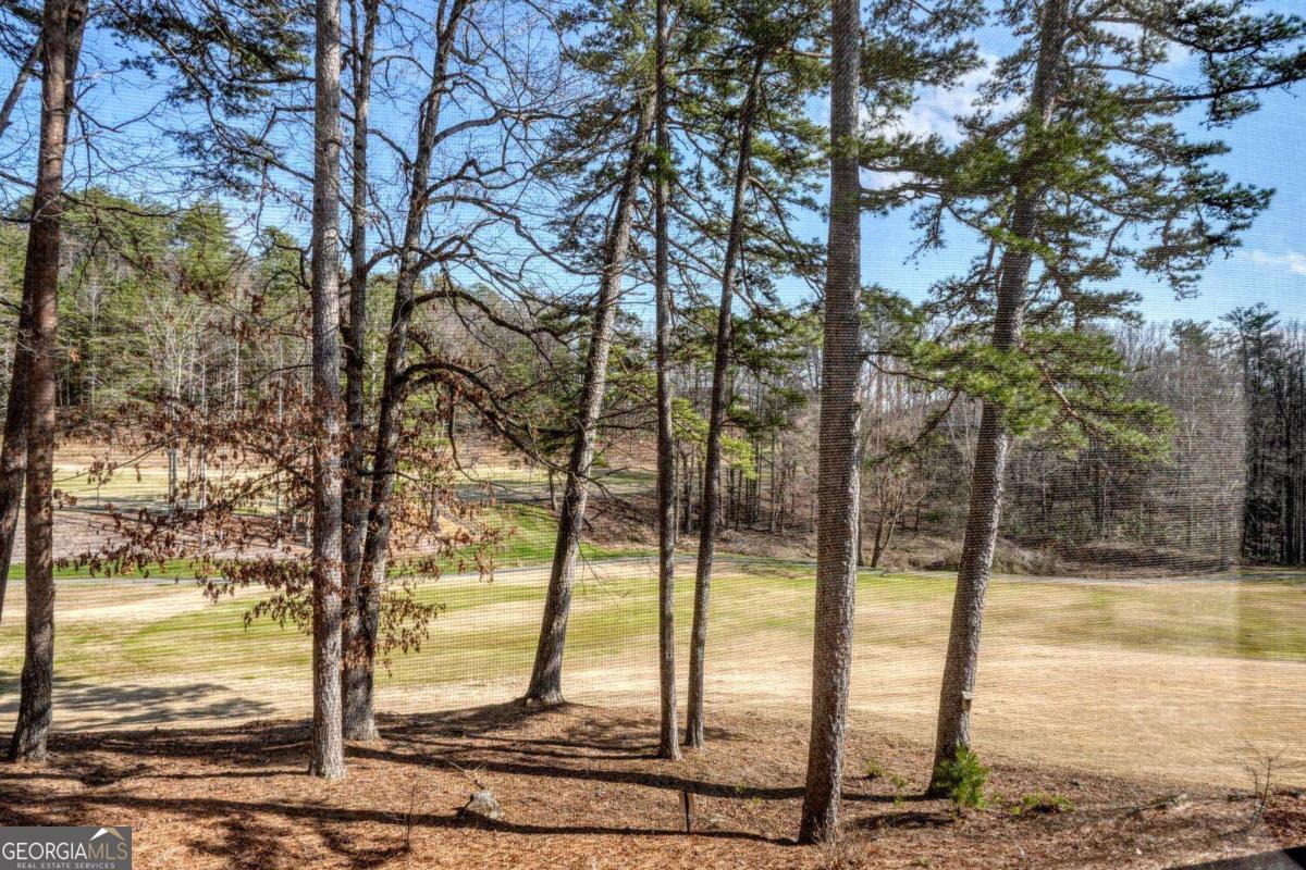94 Gleneagle Court Clayton GA 30525
