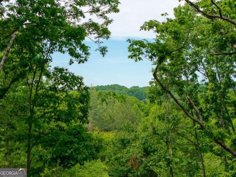 148 Virginia Drive Blue Ridge GA 30513