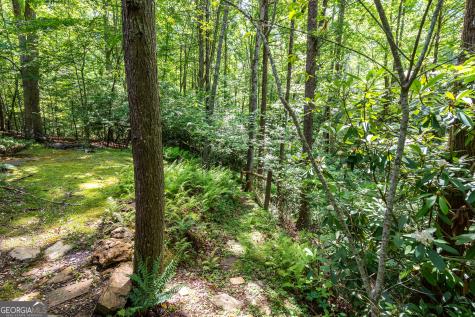 211 Red Oak Forest Lane Murphy NC 28906