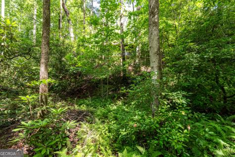 211 Red Oak Forest Lane Murphy NC 28906