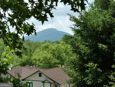 327 Brucken Strasse Helen GA 30545