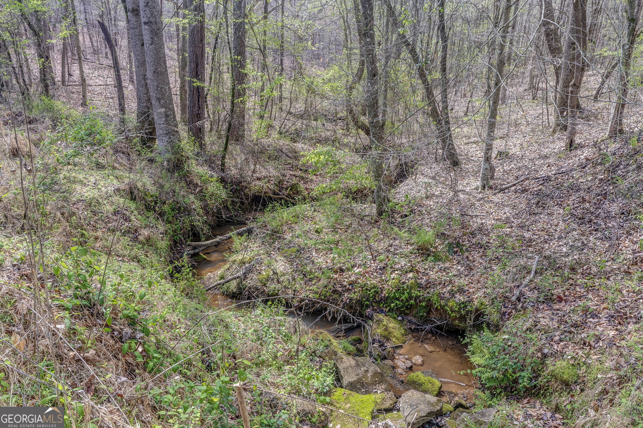 3585 Old Highway 100 S Tallapoosa GA 30176