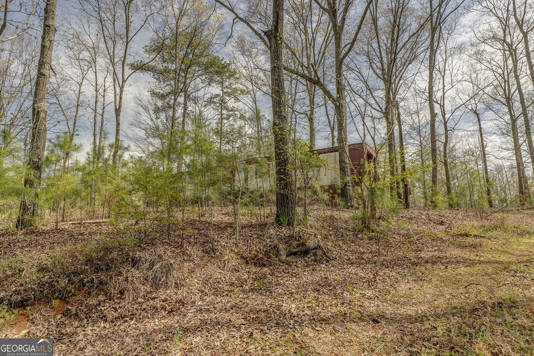 3585 Old Highway 100 S Tallapoosa GA 30176