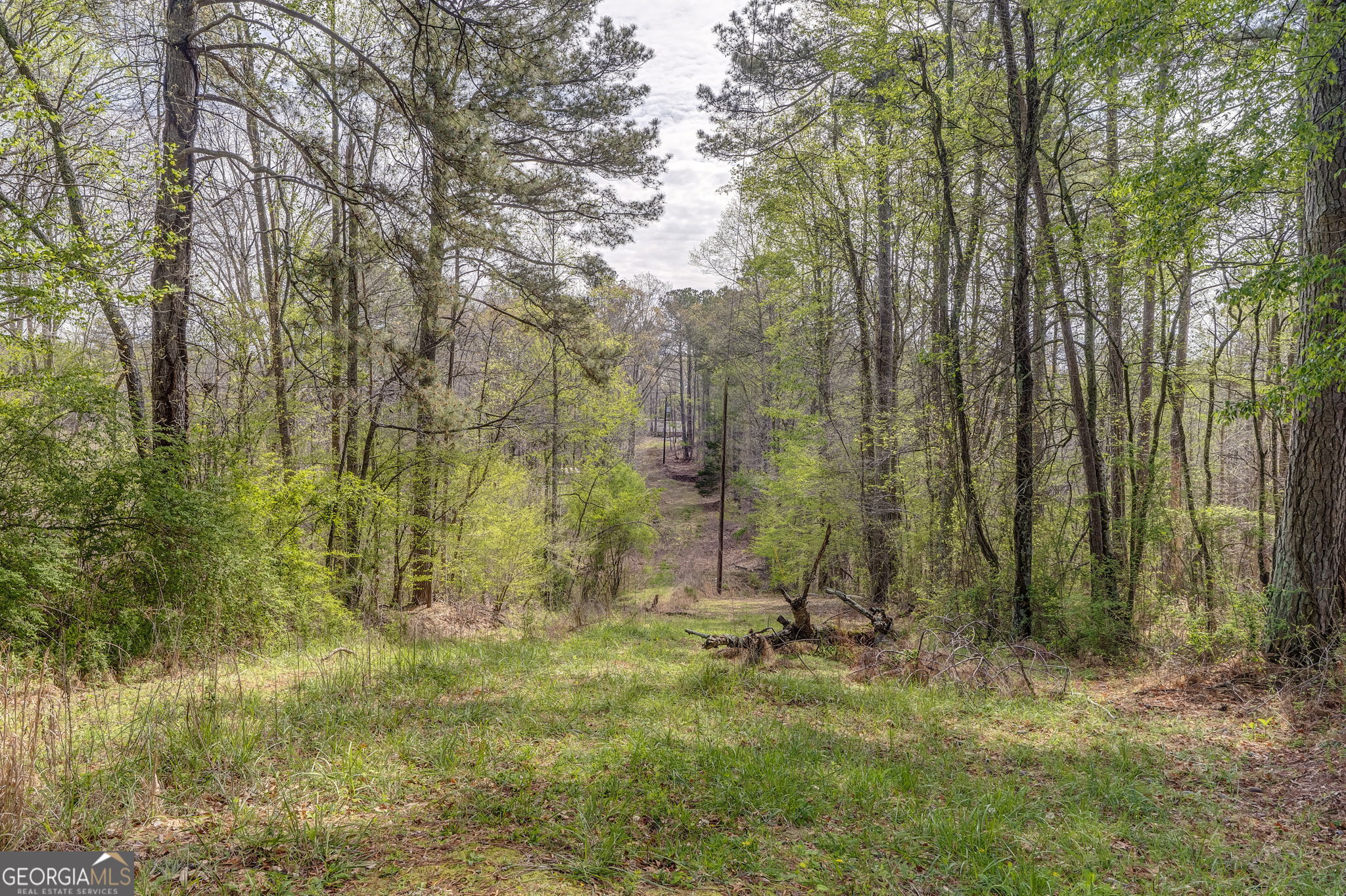 3585 Old Highway 100 S Tallapoosa GA 30176