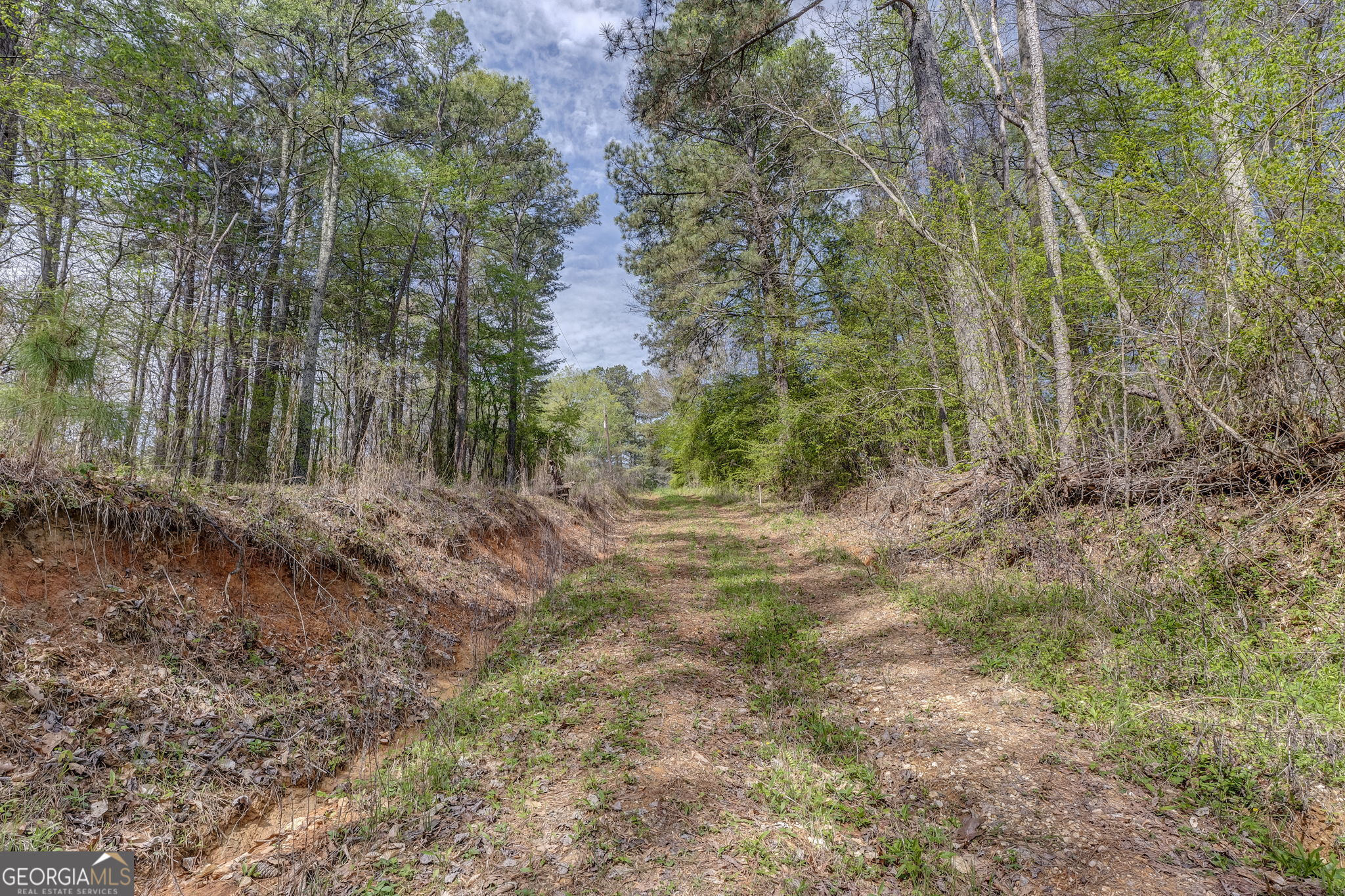 3585 Old Highway 100 S Tallapoosa GA 30176