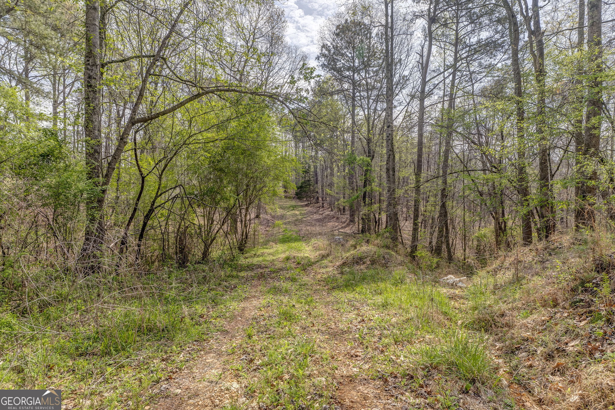 3585 Old Highway 100 S Tallapoosa GA 30176
