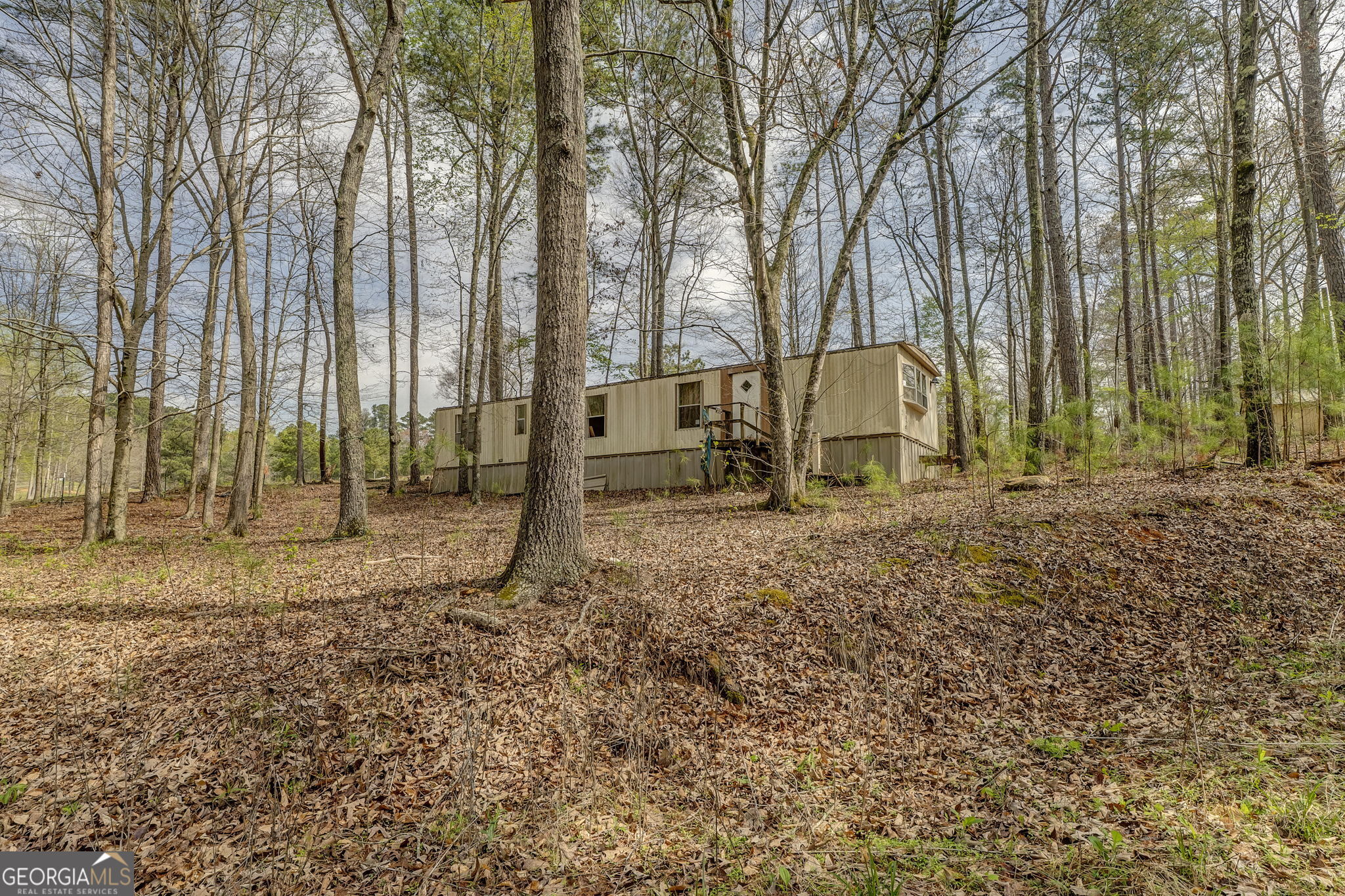 3585 Old Highway 100 S Tallapoosa GA 30176