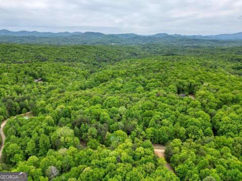 85 Cold Springs Road Morganton GA 30560