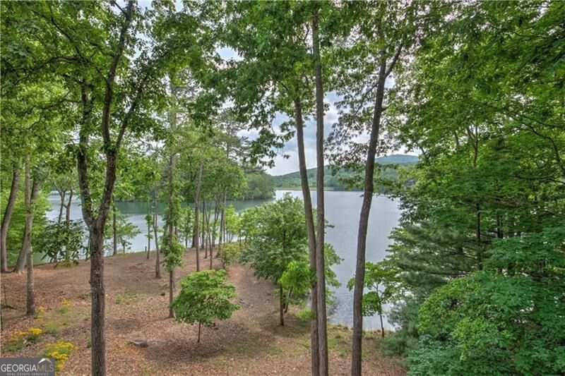 255 Indigo Bunting Trail Big Canoe GA 30143