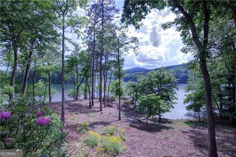 255 Indigo Bunting Trail Big Canoe GA 30143