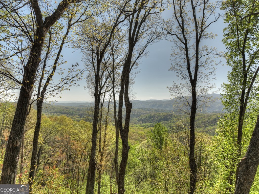 783 Moreland Drive N Cherry Log GA 30522