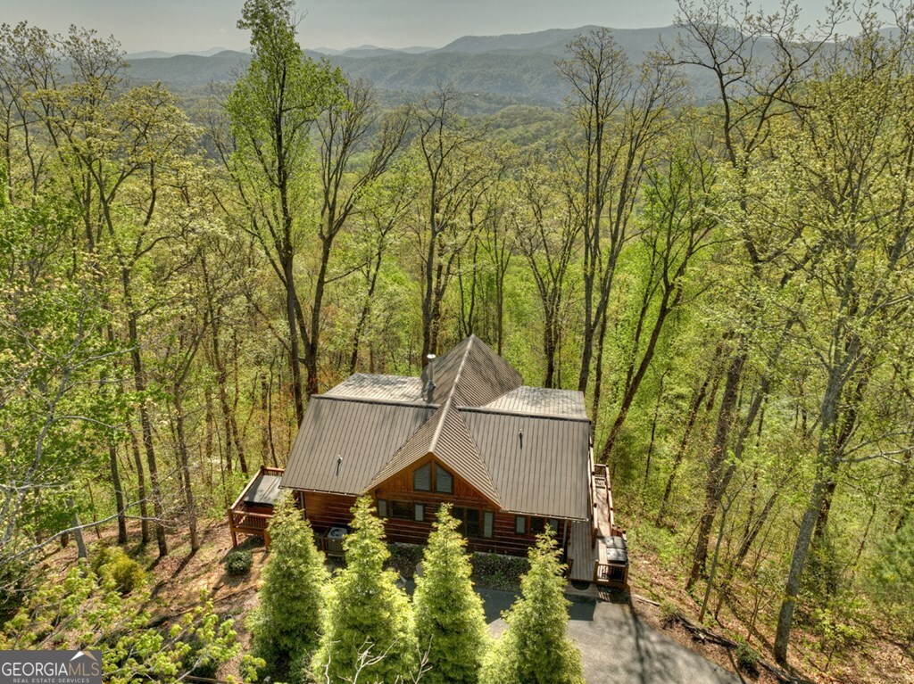 783 Moreland Drive N Cherry Log GA 30522