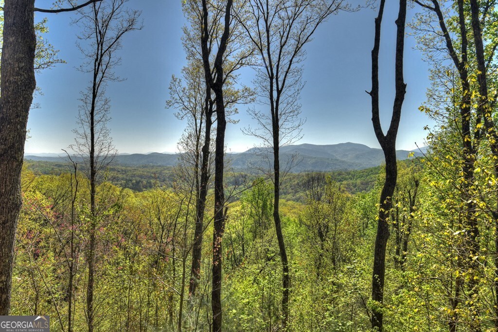 783 Moreland Drive N Cherry Log GA 30522
