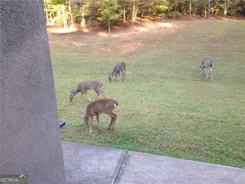 3357 Rising Fawn Trail Suwanee GA 30024