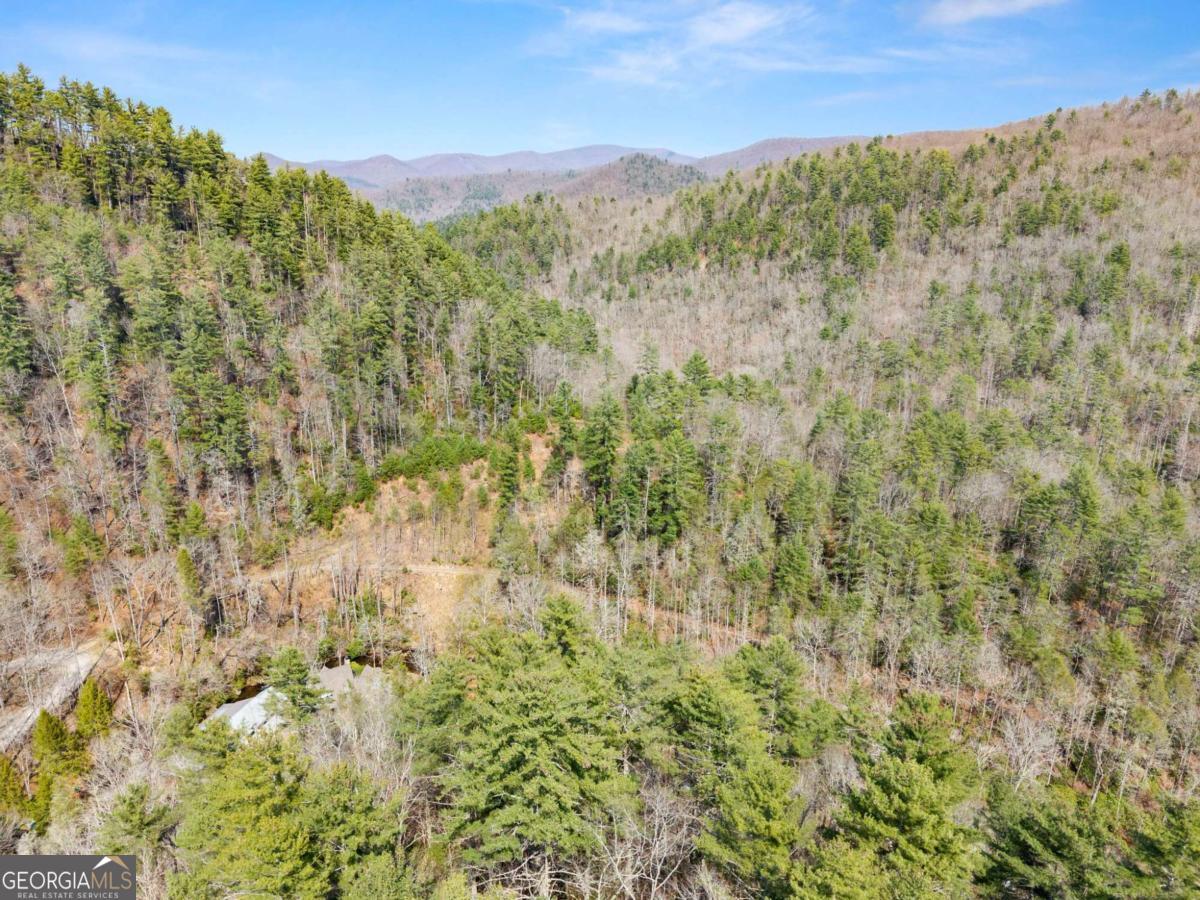 7880 Hiawassee Wilderness Trail Hiawassee GA 30546