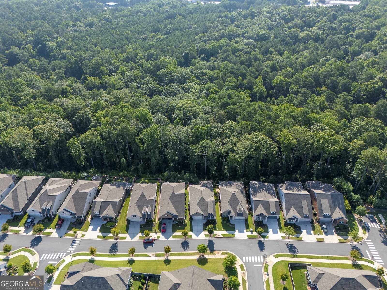 308 Carriage Glen Lane Woodstock GA 30188