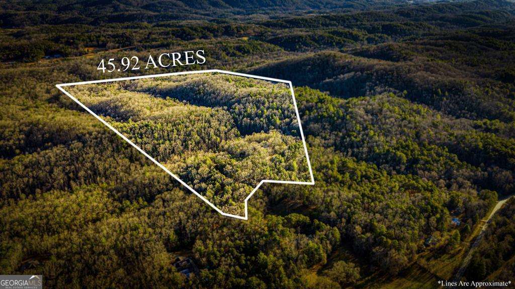 178 Arp Road Mineral Bluff GA 30559