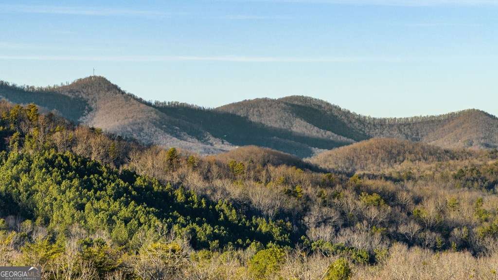 178 Arp Road Mineral Bluff GA 30559