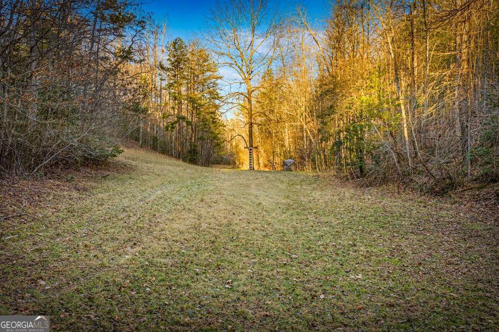 178 Arp Road Mineral Bluff GA 30559
