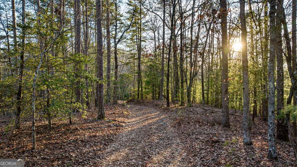 178 Arp Road Mineral Bluff GA 30559