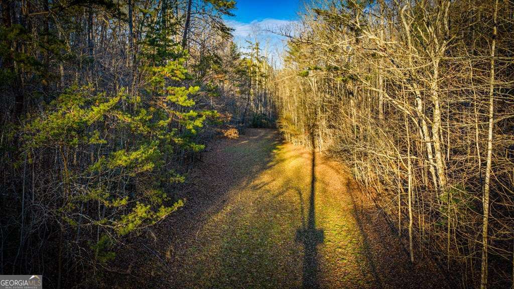 178 Arp Road Mineral Bluff GA 30559