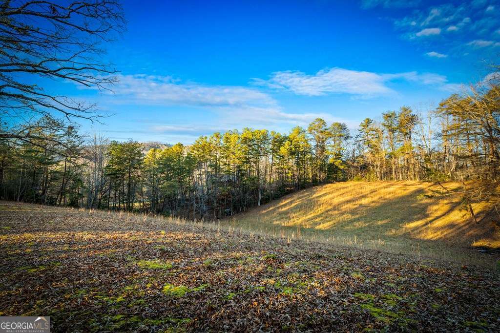 178 Arp Road Mineral Bluff GA 30559