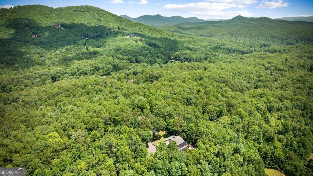 178 Arp Road Mineral Bluff GA 30559