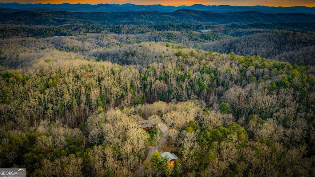 178 Arp Road Mineral Bluff GA 30559