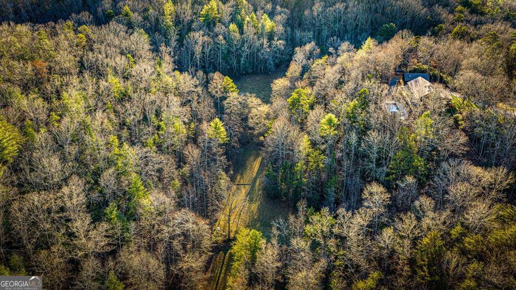 178 Arp Road Mineral Bluff GA 30559