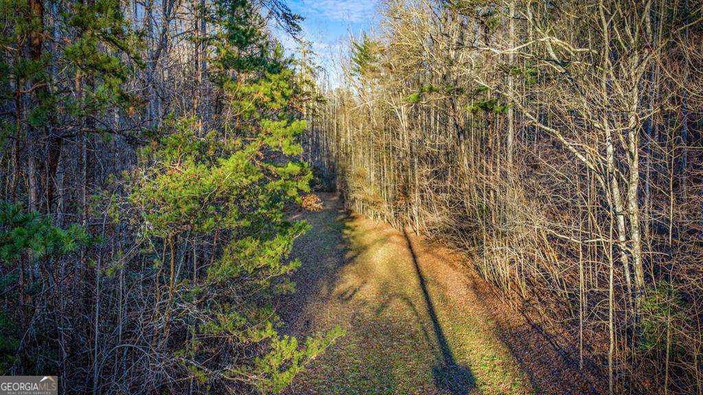 178 Arp Road Mineral Bluff GA 30559