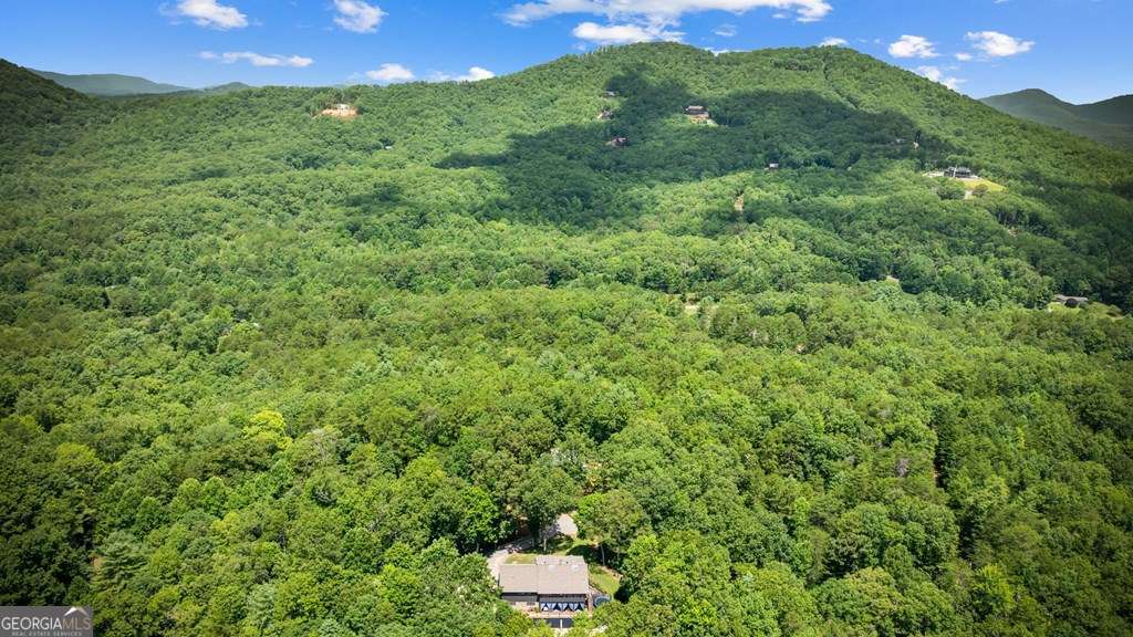 178 Arp Road Mineral Bluff GA 30559