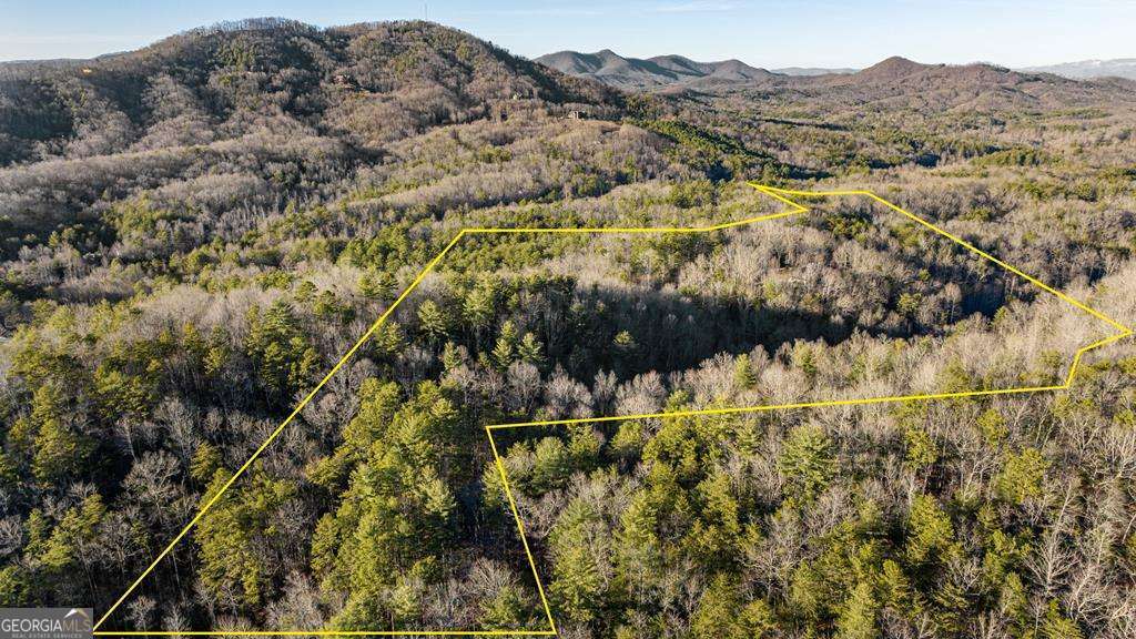 178 Arp Road Mineral Bluff GA 30559