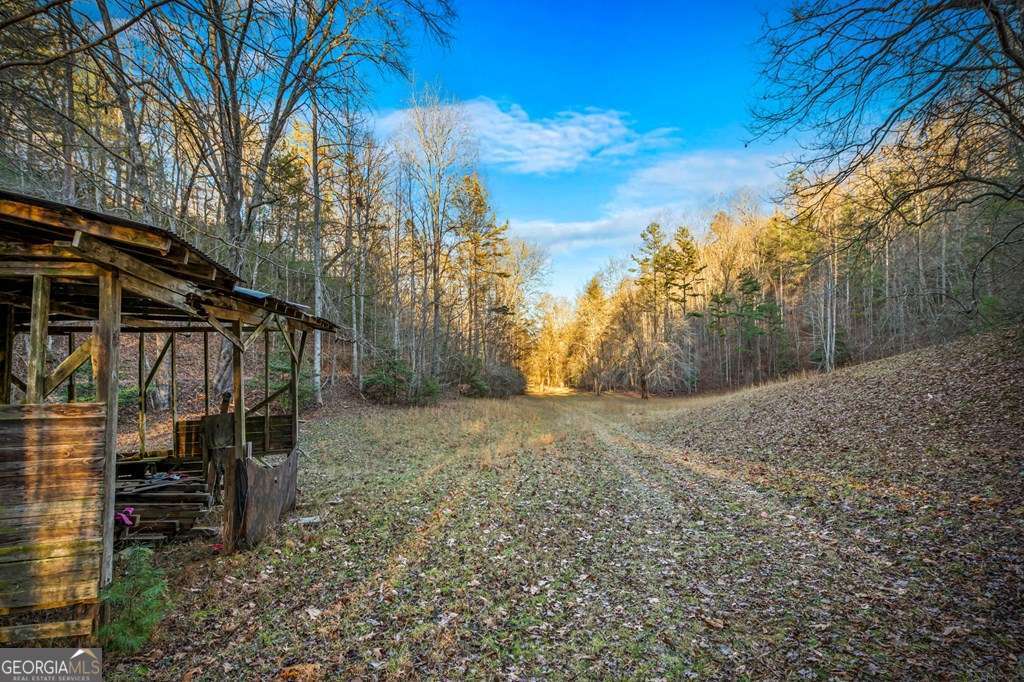 178 Arp Road Mineral Bluff GA 30559