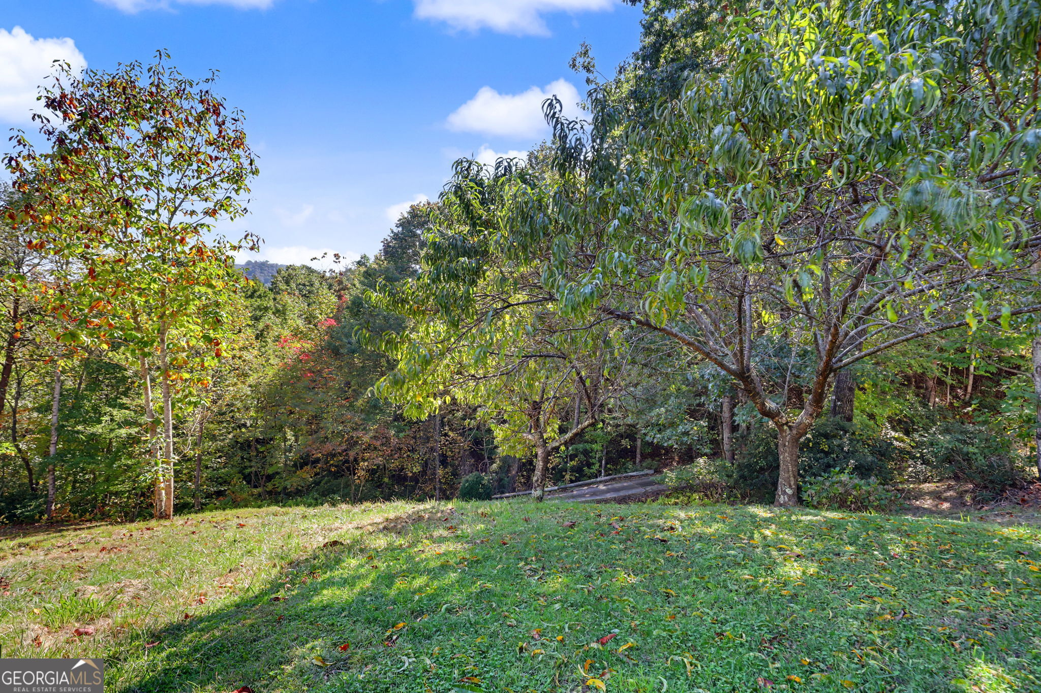 49 Vine Hill Lane Clayton GA 30525