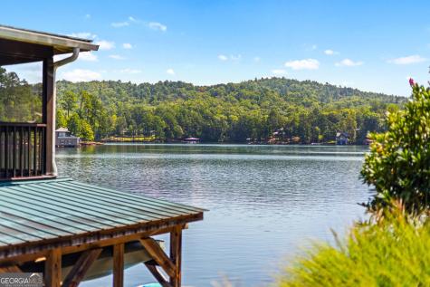 65 Seasons View Court Clarkesville GA 30523