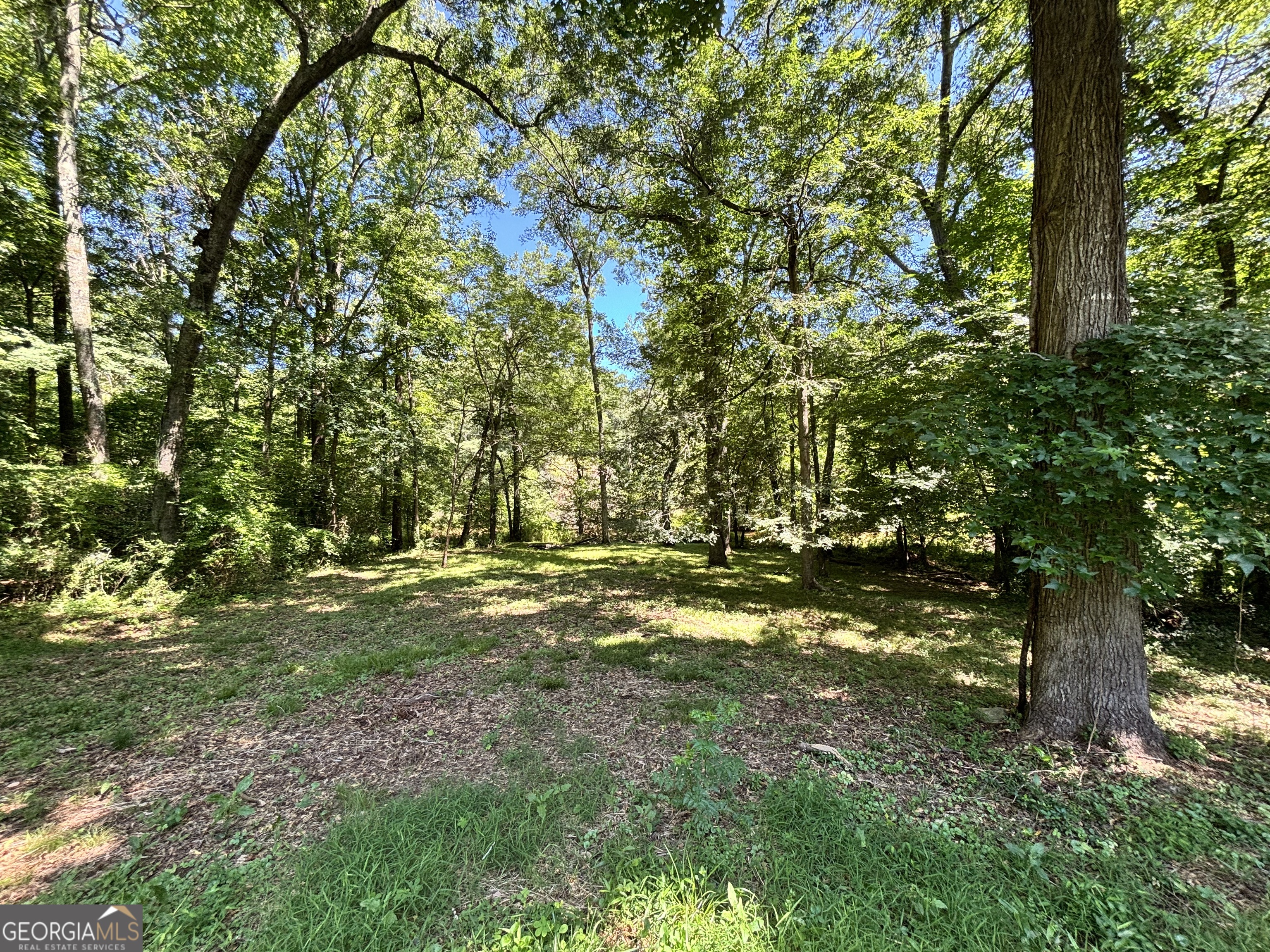 110 Saxon Woods Drive Athens GA 30607