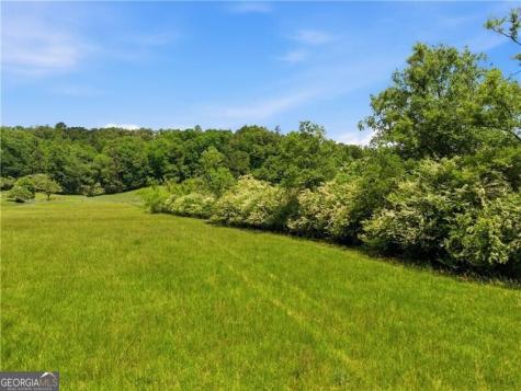 619 Hamp Mill Road Dahlonega GA 30533
