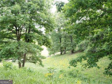 619 Hamp Mill Road Dahlonega GA 30533