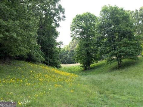 619 Hamp Mill Road Dahlonega GA 30533